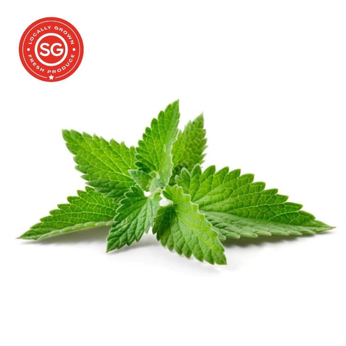 Spearmint (50g)